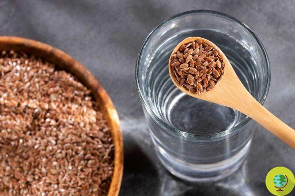 Flaxseed water, how to prepare it and the incredible effects of drinking a glass of it every morning