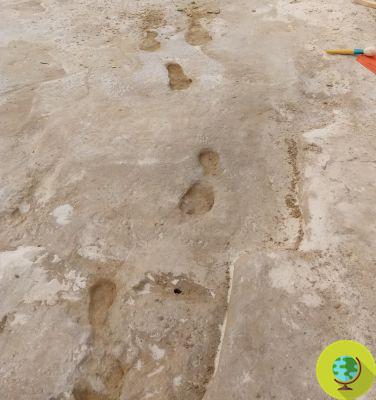 These fossil footprints demonstrate human presence in America as early as 23.000 years ago