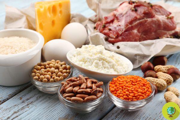 Uma dieta rica em proteínas pode fazer você ganhar peso (se você não tiver cuidado com essas 5 coisas)