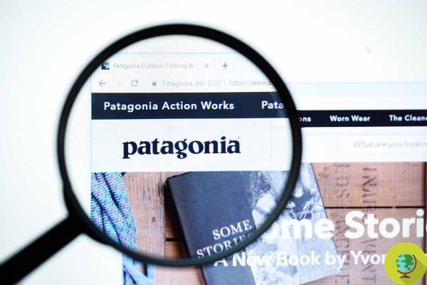 Climate crisis: why Patagonia chooses not to use the word sustainable anymore