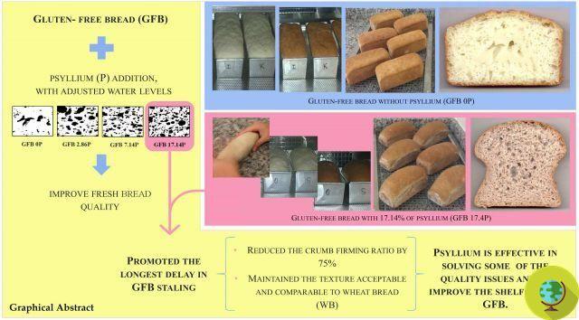 Pão sem glúten: a mistura certa de farinhas descoberta por cientistas para torná-lo mais saboroso e nutritivo
