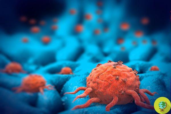 Tumores: Cientistas desenvolvem nanopartículas que destroem células cancerígenas sem usar drogas