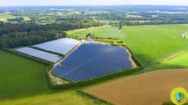 Solar farms: in Cornwall farmers united in a mega-project of collective photovoltaics