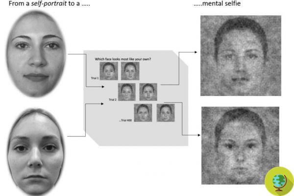 So we take mental selfies! Psychologists manage to visualize them and compare them with real images
