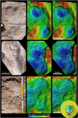 Los arqueólogos encontraron huellas humanas de hace 115.000 años (donde no deberían estar)