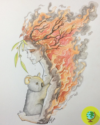 Des illustrateurs et artistes du monde entier rendent hommage aux animaux australiens et à leur terre brûlante