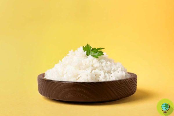 Arsénico en el arroz: ¿Debería preocuparse?