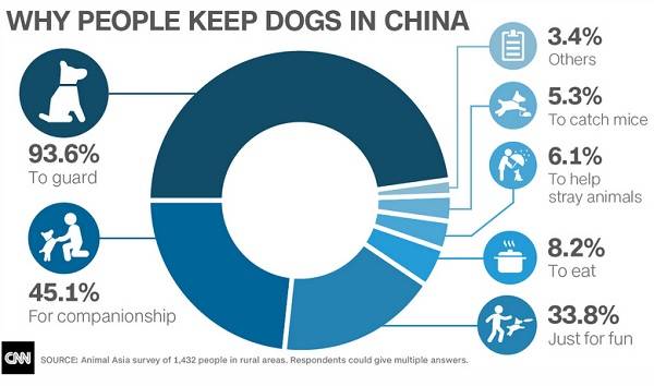 Carne de perro: detengamos el festival chino que sacrificará hasta 2000 animales (PETICIONES)