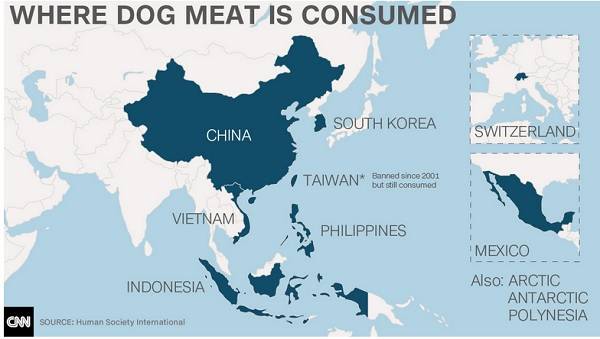 Carne de cachorro: vamos parar o festival chinês que vai abater até 2000 animais (PETIÇÕES)
