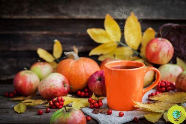 Autumn: 10 natural remedies (plus one) to deal with the change of season