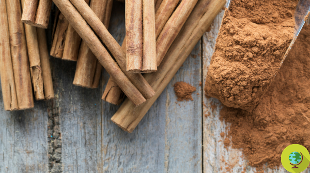 Cinnamon helps you lose weight. The new research confirms this