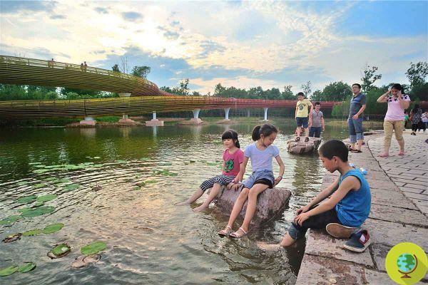 Este parque resiliente “recebe” inundações em vez de combatê-las com barreiras de concreto