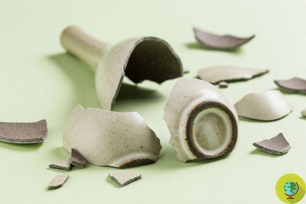 How to recycle broken pots, so many creative ideas that (perhaps) you hadn't thought of