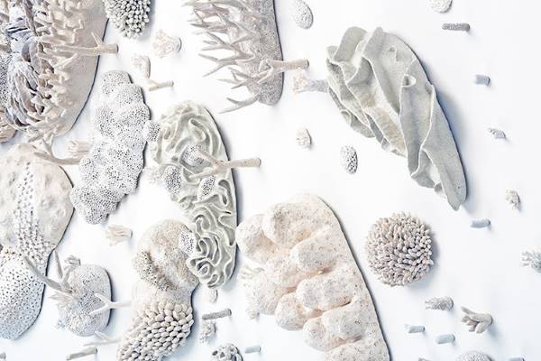 As instalações evocativas que reproduzem a beleza do recife de coral