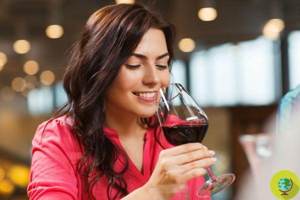 Qu'arrive-t-il à votre cerveau lorsque vous buvez ne serait-ce qu'un seul verre d'alcool par jour selon une nouvelle étude?
