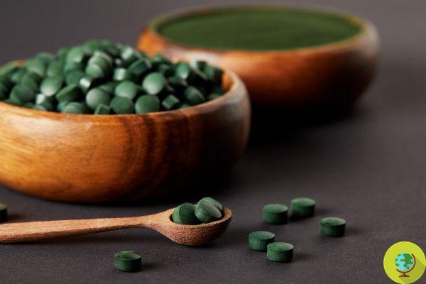 Spirulina, better powder or tablet supplement? All the differences