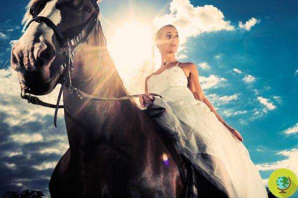 Un cheval portant une mariée s'effondre à cause de la grande chaleur à Palmi