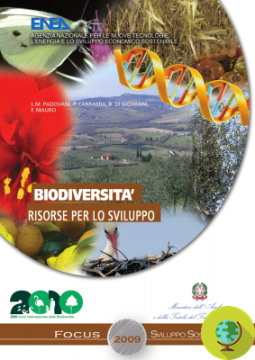 2010, o ano da biodiversidade