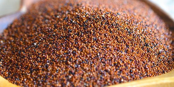 Amaranto, quinoa y cañihua: las 3 semillas que salvarán al mundo