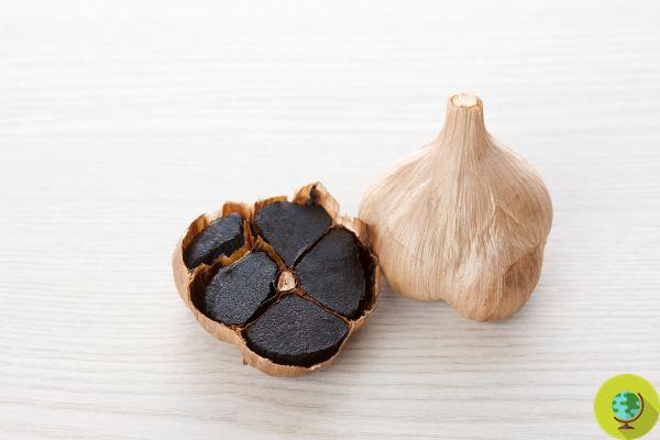 Everyone's crazy about black garlic! The unexpected benefits that will make you want to eat it in wedges