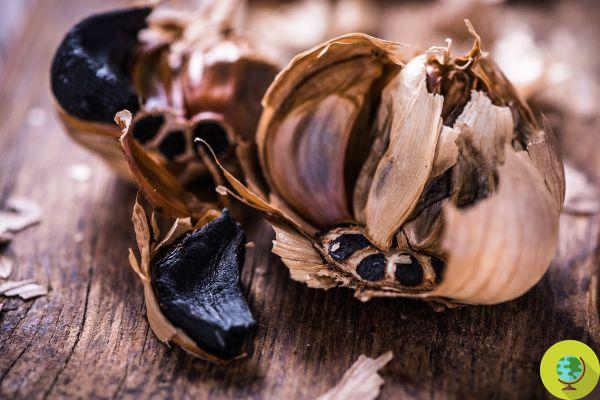 Everyone's crazy about black garlic! The unexpected benefits that will make you want to eat it in wedges