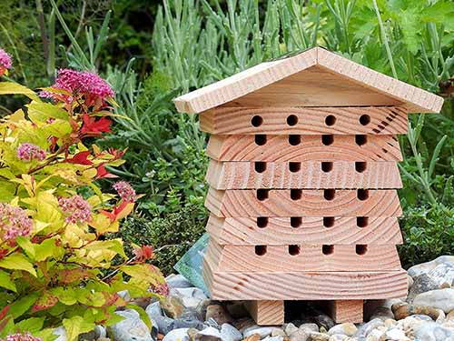 Casas para abelhas, borboletas e joaninhas, ideias de presentes para atrair insetos úteis para o jardim