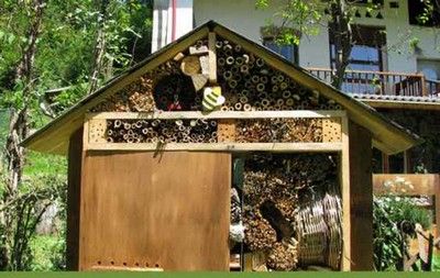 Casas para abelhas, borboletas e joaninhas, ideias de presentes para atrair insetos úteis para o jardim