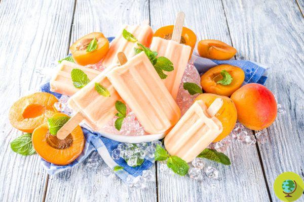 Apricot popsicles: the perfect summer recipe with just 3 ingredients (and no sugar)
