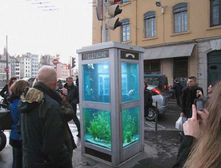 Antiguas cabinas telefónicas de Lyon se transforman en acuarios tropicales