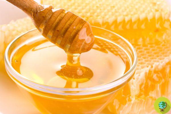 Honey against bacteria: manuka honey defeats drug resistant super bacteria