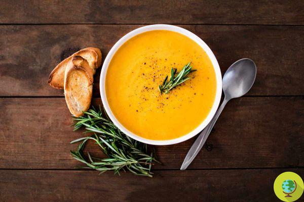 Soupes d'automne : 10 recettes à déguster