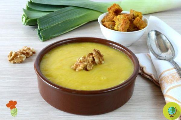 Autumn soups: 10 recipes to taste