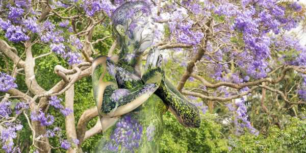 Pintura corporal: las espectaculares imágenes del hombre rodeado de naturaleza (FOTO y VÍDEO)