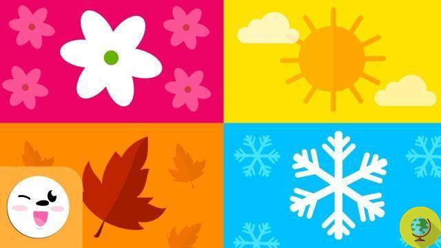A sucessão das estações e as cores do outono em poucos segundos (vídeo)