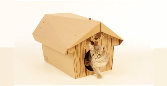 10 idées pour une maison adaptée aux chats et aux chiens