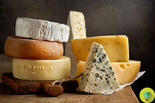 Maxi rappel de fromages et laitages : 9 retraits de différentes marques contaminées par une toxine cancérigène