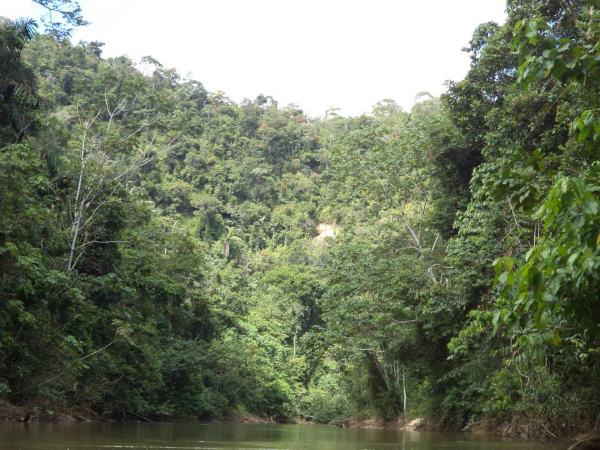 Sierra del Divisor: l'un des plus grands parcs du monde est né, pour protéger l'Amazonie et les peuples indigènes (PHOTO)