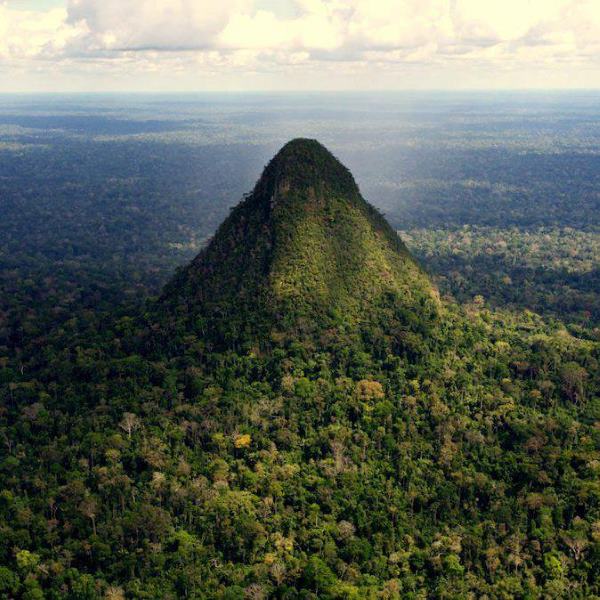 Sierra del Divisor: one of the largest parks in the world is born, to protect the Amazon and the indigenous people (PHOTO)