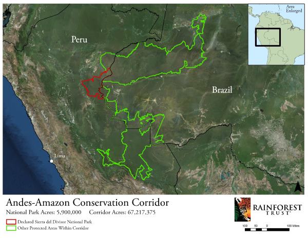 Sierra del Divisor: one of the largest parks in the world is born, to protect the Amazon and the indigenous people (PHOTO)
