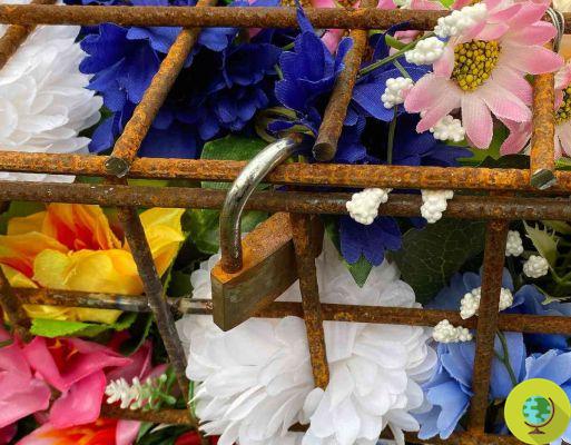 As flores nos canteiros de Milão acabam presas em gaiolas enferrujadas, a instalação contra a agricultura intensiva