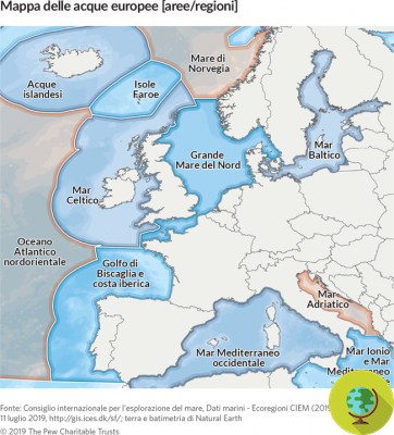 Pesca sostenible: llega la reforma de la UE. Aquí está el nuevo PCP