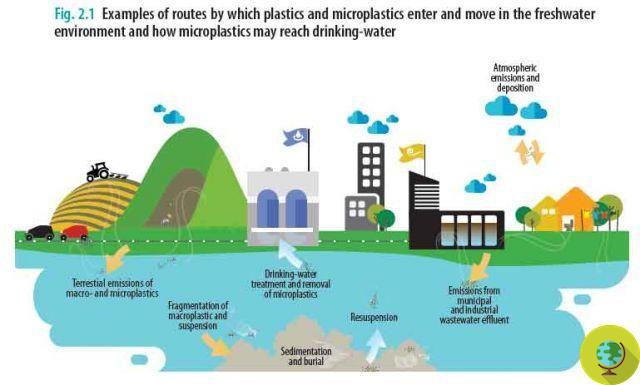 Microplastiques dans l'eau potable : l'OMS appelle à de nouvelles études pour évaluer les éventuels risques sanitaires
