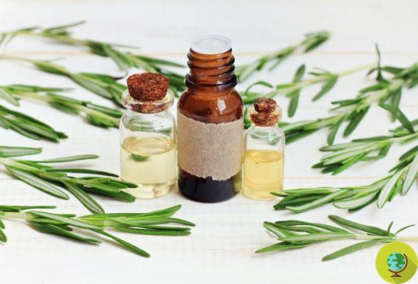 Do-it-yourself herbal hair serum to keep it soft and silky all year round