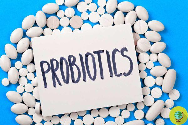 Probiotiques : l'effet bénéfique inattendu pour les poumons découvert par une nouvelle étude