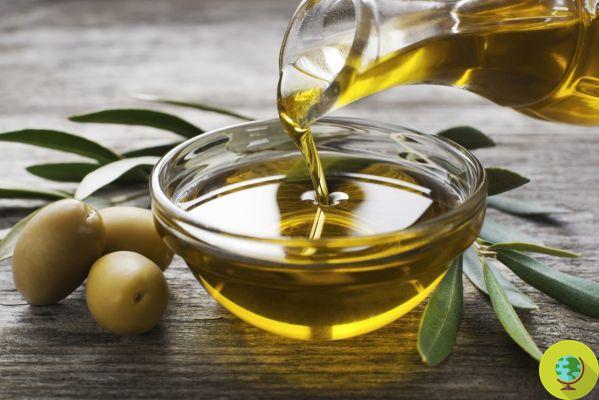 Olive oil to protect heart health