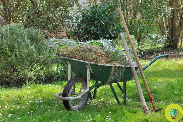 ¿Conoces el ingenioso truco del periódico para evitar que crezca la mala hierba?