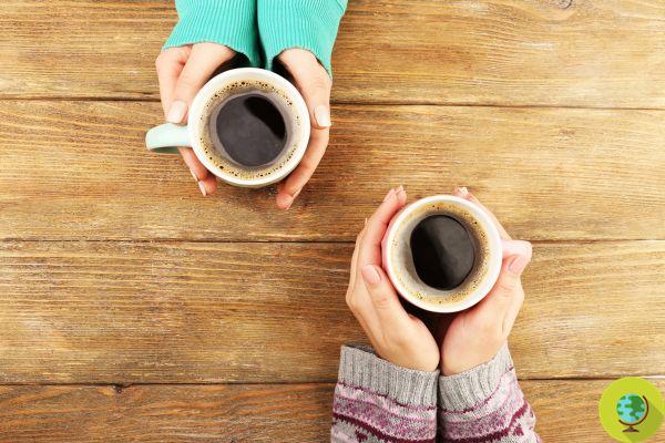 Beber más de dos tazas de café al día reduce la grasa corporal. yo estudio
