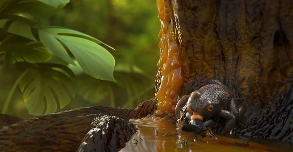 Fossile de la plus ancienne grenouille de la forêt tropicale trouvée dans l'ambre