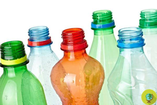 Recycle plastic thanks to enzymes: unveiled the first bottles in the world recycled in this way