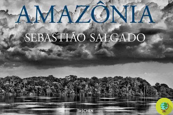 Tras las huellas de los indígenas de la Amazonía: las maravillosas fotos de Salgado encerradas en un libro